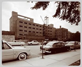 The University Main Building